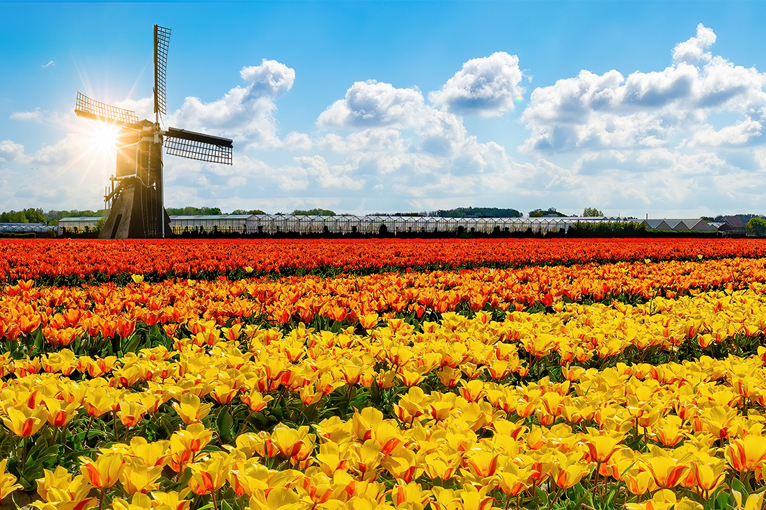 Plan to Spring Forward in 2023